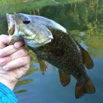 Mike Roth - Instagram Profile Picture of Mike Roth (@mike_roth23) on Instagram