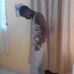 Profile Picture of Remy Joseph (@remy.joseph.568) on Facebook