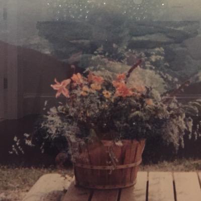 Profile Picture of Lisa Lye (@LisaLye1) on Twitter