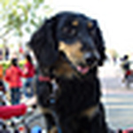 Profile Picture of Milu-lin (@milu-lin) on Flickr