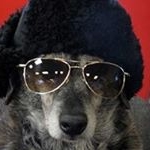 Profile Picture of James Faulisi (@jamesfaulisi) on Instagram