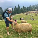 Profile Picture of Bryan Wong (@beee_doubleu) on Instagram