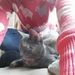 Profile Picture of Katrina Smith (@buttonprincess) on Pinterest