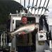 Profile Picture of Ray Gammell (@ray.gammell.7) on Facebook