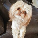 Profile Picture of Amber Cupp (@arochellec518) on Instagram