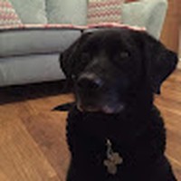 Profile Picture of Emily Coulson (@emily-coulson-7) on Quora
