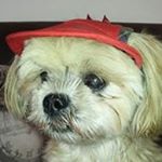 Profile Picture of Jacqueline Pelcot (@jacquelinepelcot) on Instagram