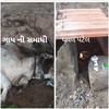Profile Picture of dhaval patel (@@user463920013502) on Tiktok