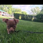 Profile Picture of Toby Jericho Gaddis (@tobyjericho) on Instagram