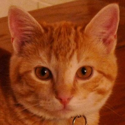 Profile Picture of John Gier (@AdiaSystems) on Twitter