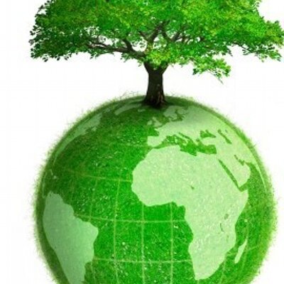 Profile Picture of Alexander Chuang (@green_economy) on Twitter