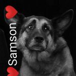 Profile Picture of Michael Letsch (@michael_letsch) on Instagram