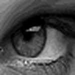 Profile Picture of dave_webb (@dave_webb) on Flickr
