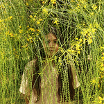 Profile Picture of Noor Al-fayez (@noor.alfayez) on Flickr