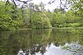 Profile Picture of Dockery Lake Recreation Areaon Wikipedia