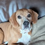 Profile Picture of Glenn Varner (@glenn.varner.31) on Facebook