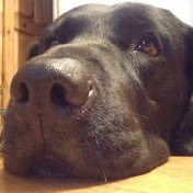 Profile Picture of Ian Ahern (@boarder79a) on Youtube