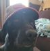 Profile Picture of Kyle Copenhaver (@Kyle-Copenhaver) on Facebook