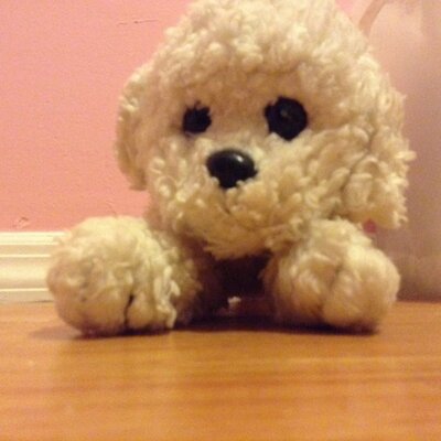 Profile Picture of Bianca Naranjo (@NaranjoBianca) on Twitter