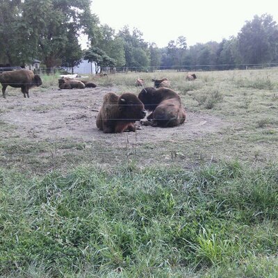 Profile Picture of Jason Shockley (@jasonshockley71) on Twitter