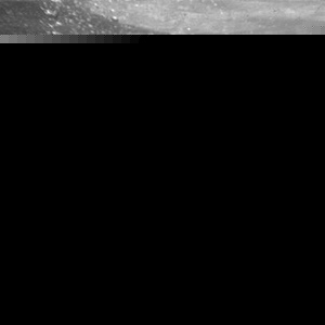 Profile Picture of Albert Palomares (@eduardopalomares714) on Myspace