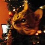 Profile Picture of Jo Dawkins (@jodawkins13) on Instagram