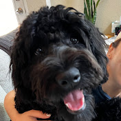 Profile Picture of Bobby Daniels (@BobbyDanielsGraphics) on Youtube