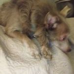 Profile Picture of Cody Sweatt (@cocamo26) on Instagram