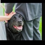 Profile Picture of Andrew (@andrewnapolitan) on Instagram