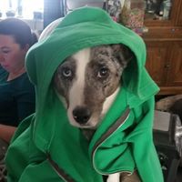 Rex Ludwig - Quora Profile Picture of Rex Ludwig (@rex-ludwig-1) on Quora