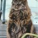 Profile Picture of Clarice Best (@vermontbest) on Pinterest