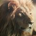 Profile Picture of Beverly Hawkins (@bhawk68) on Pinterest