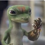 Profile Picture of Stephen Vereb (@roller_coasters_and_stuff) on Instagram