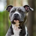 Profile Picture of Mike Crespo (@Mike-Crespo) on Facebook