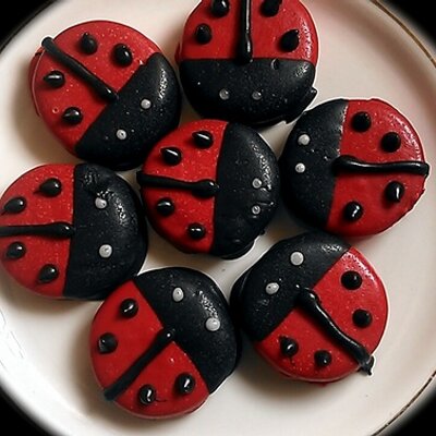 Profile Picture of Kelsey Alberts (@ladybugsnbees) on Twitter
