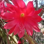 Profile Picture of Miranda Alvarez (@miranda.alvarez.14606936) on Facebook