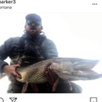 Profile Picture of Brandon Parker (@bparker3) on Instagram