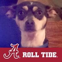 Profile Picture of Noah Stubblefield (@lilchuck21) on Pinterest