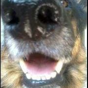 Profile Picture of Kenneth Rapp (@krrpppppp) on Pinterest