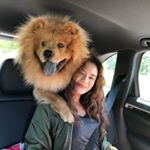 Profile Picture of Theodore Li (@sunchildtheochowchow) on Instagram