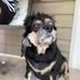 Profile Picture of Denise Lightfoot (@denise.lightfoot.374) on Facebook