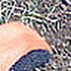 Profile Picture of Bloomfield Guy (@bloomfieldguy) on Flickr