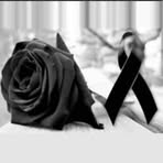 Profile Picture of Luis Chamorro (@luis.chamorro.338658) on Facebook
