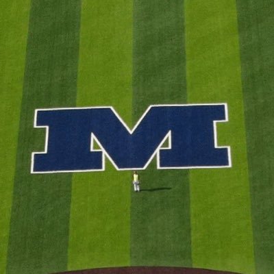 Profile Picture of Millikin Baseball (@BigBlueBaseball) on Twitter