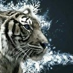 Profile Picture of claudio bobadilla (@bobaclaudio) on Instagram