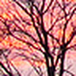 Profile Picture of Bobby Evans (@prancer6) on Flickr