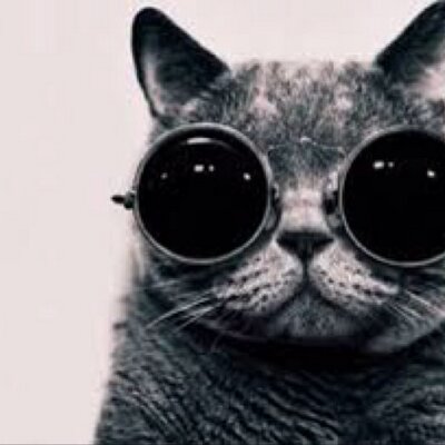 Profile Picture of Kim (@chard_kim) on Twitter