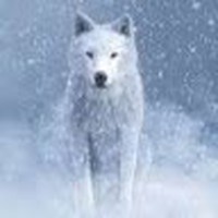 Profile Picture of Anne Cassandra Valerio (@anne-cassandra-valerio) on Quora