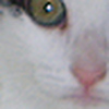 Profile Picture of anne-c. (@anne-c.) on Flickr