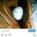 Profile Picture of Michael Boydston (@michael.boydston.18) on Facebook